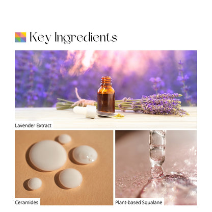 Renewing Overnight Serum Key Ingredients